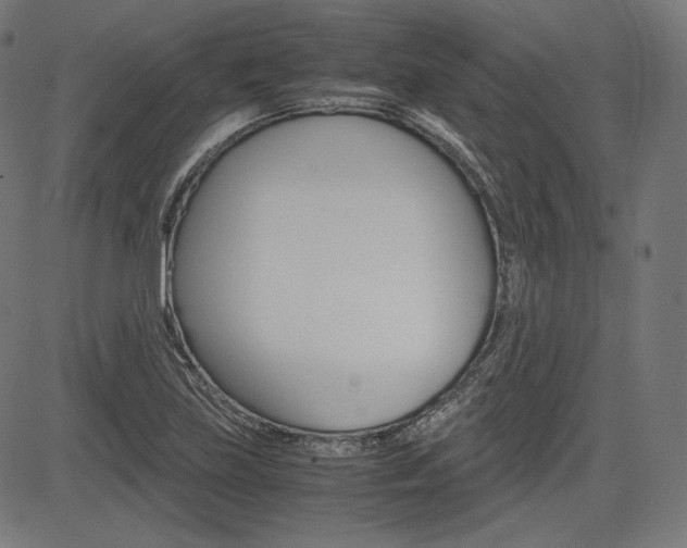 X0000085231219200703090848
