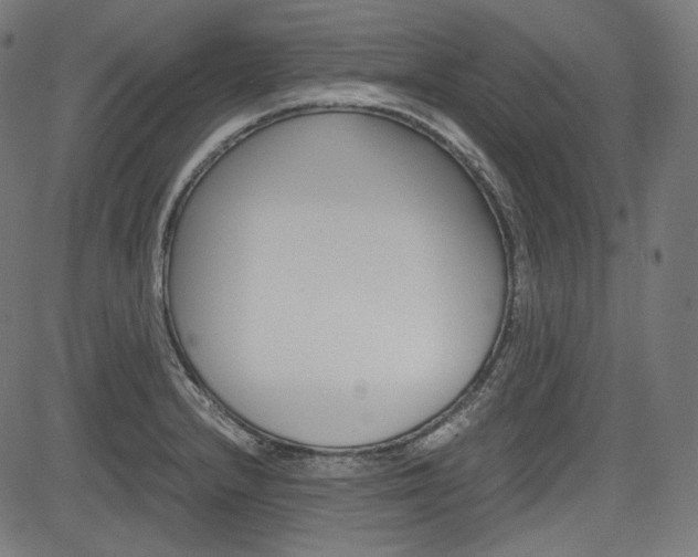 X0000085231232200703090848