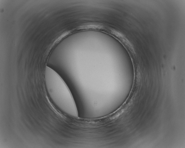 X0000085231233200703090848