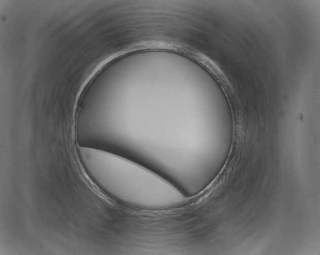 X0000085231236200703090848