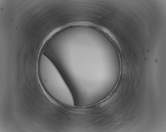 X0000085231237200703090848