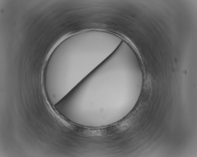 X0000085231243200703090848
