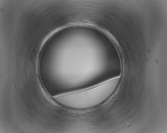 X0000085231246200703090849