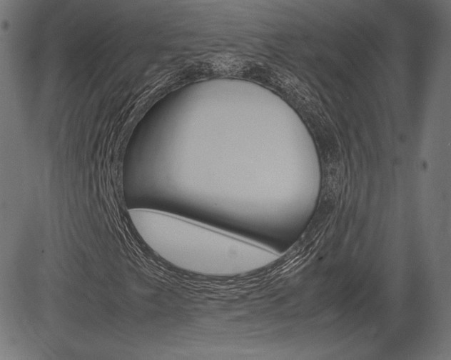 X0000085231249200703090848