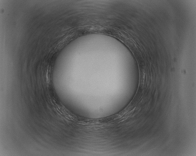 X0000085231250200703090848