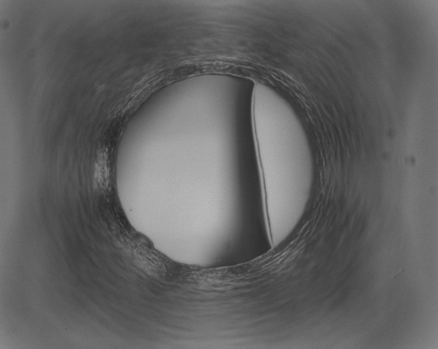 X0000085231252200703090848