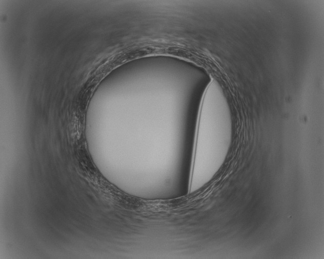 X0000085231253200703090848