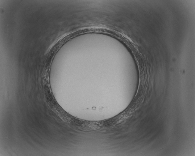 X0000085231255200703090848