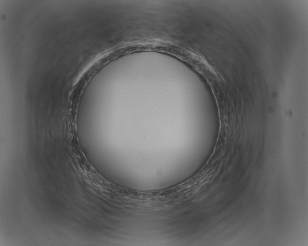 X0000085231256200703090848