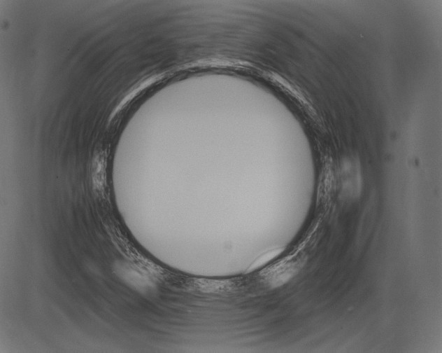 X0000085231258200703090848