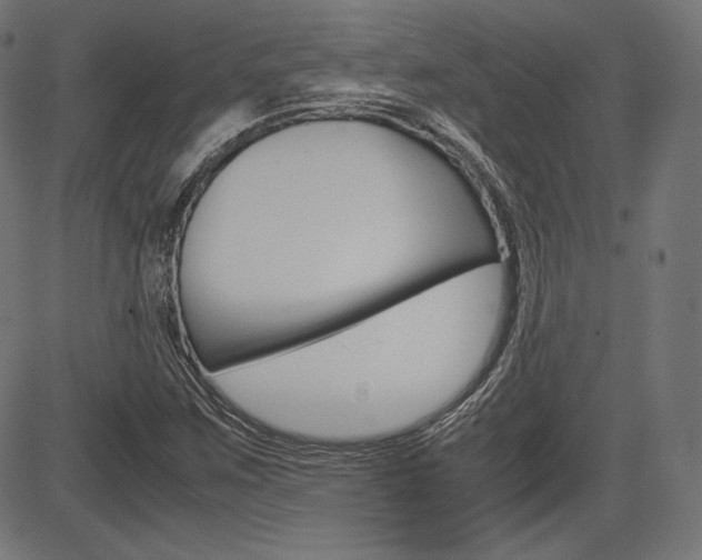 X0000085231259200703090848