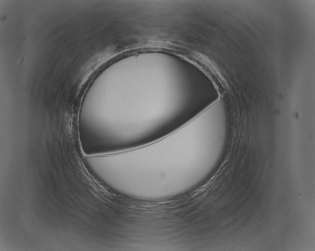 X0000085231260200703090848