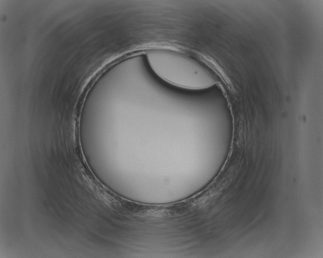 X0000085231268200703090847