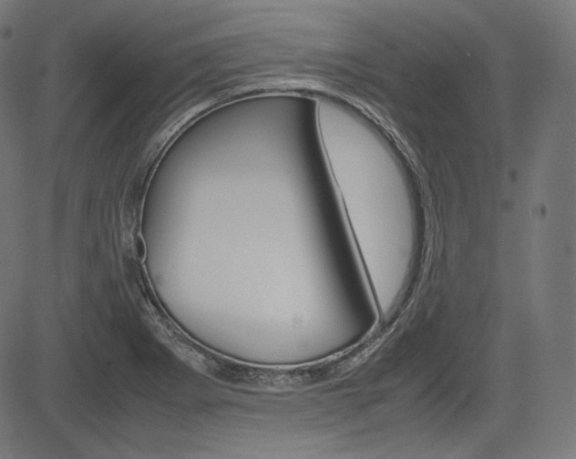 X0000085231273200703090847