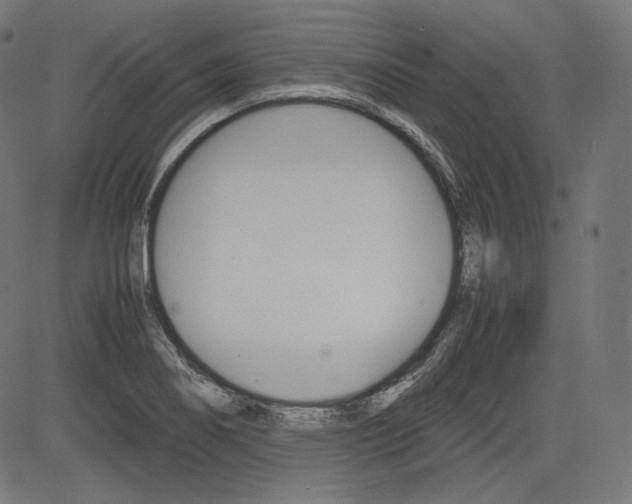 X0000085231274200703090847