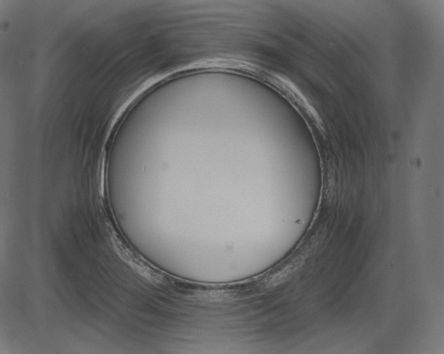 X0000085231276200703090847
