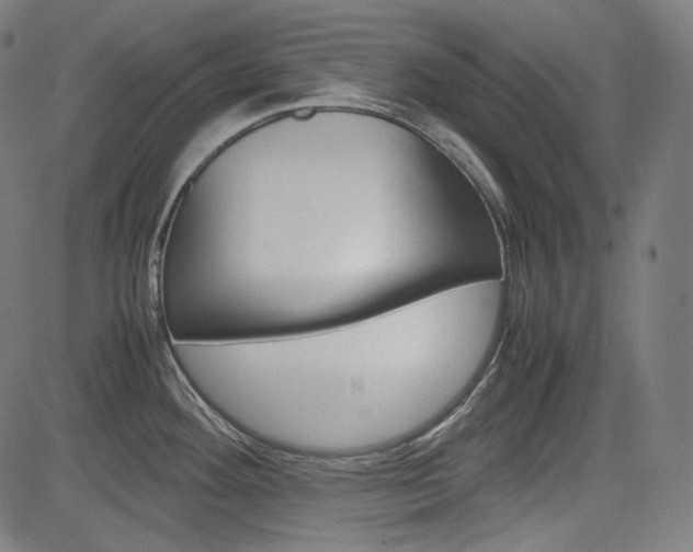 X0000085231292200703090847