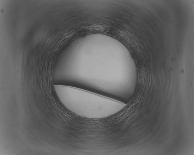 X0000085231297200703090846