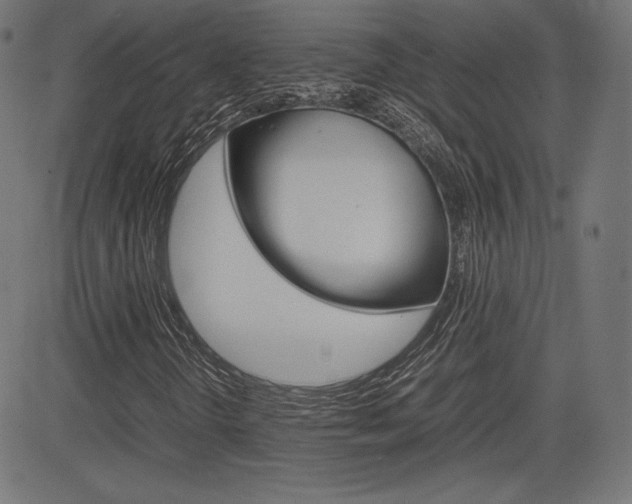 X0000085231298200703090846