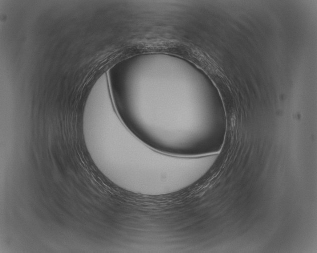 X0000085231300200703090846
