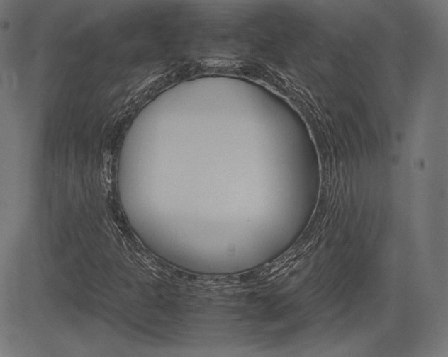 X0000085231301200703090846