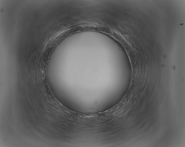 X0000085231303200703090846