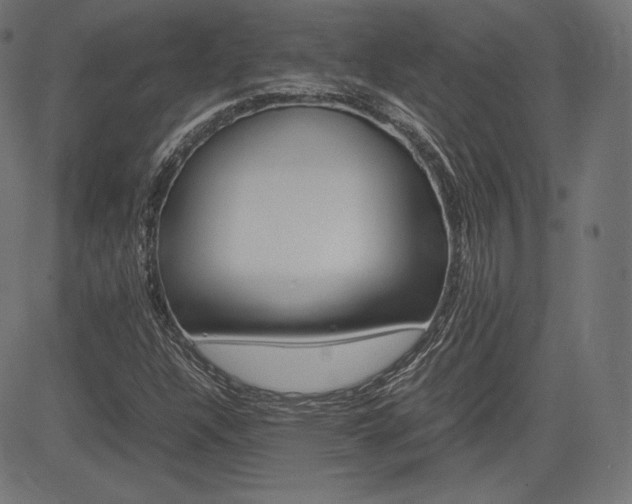 X0000085231304200703090846