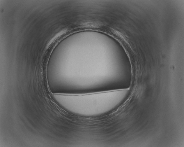 X0000085231307200703090846