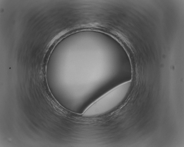 X0000085231308200703090846
