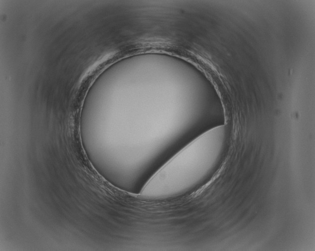 X0000085231309200703090846