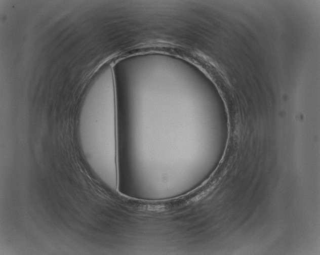X0000085231313200703090846