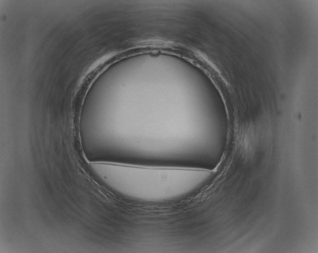 X0000085231315200703090846
