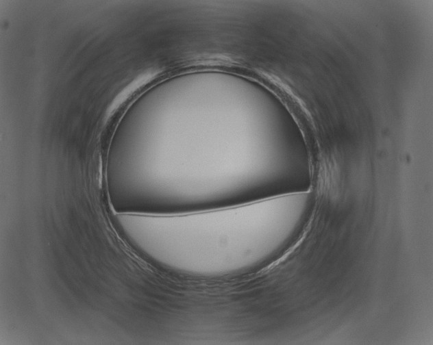X0000085231317200703090847