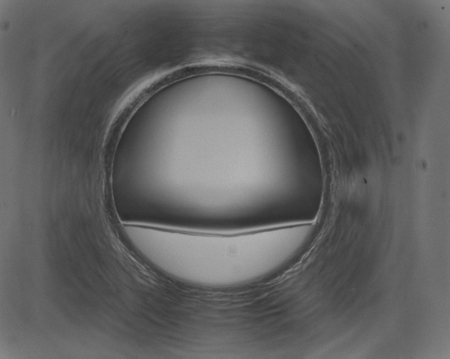 X0000085231319200703090847