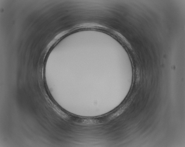 X0000085231322200703090847