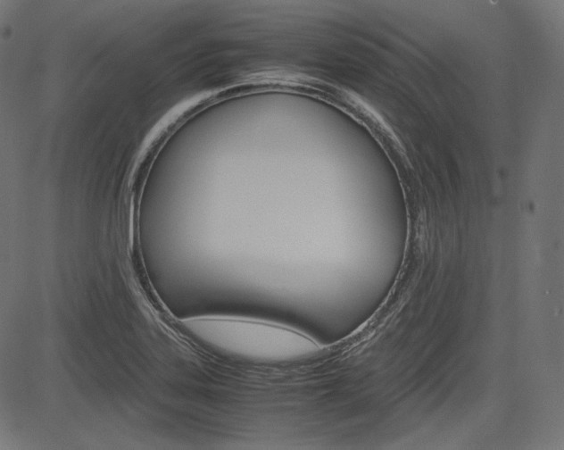 X0000085231323200703090847