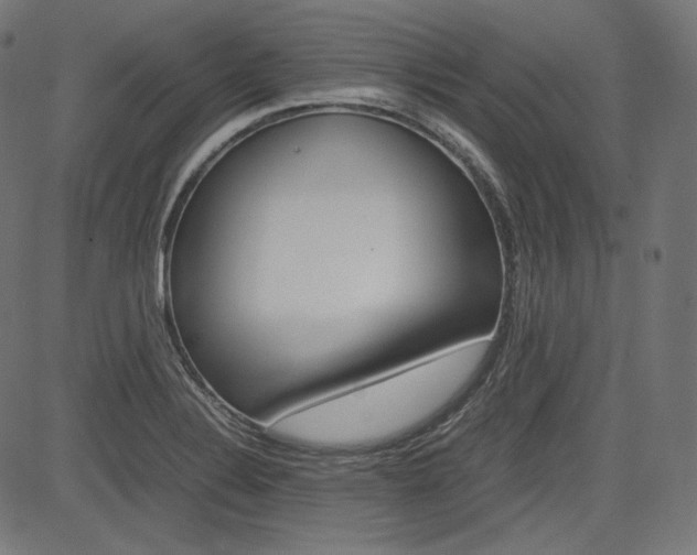 X0000085231324200703090847