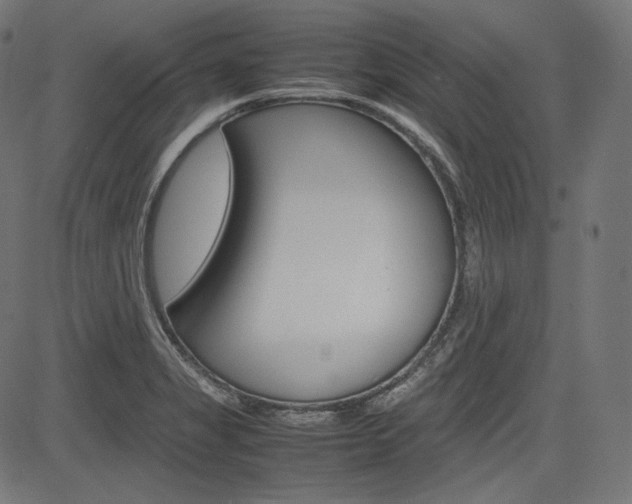 X0000085231325200703090847