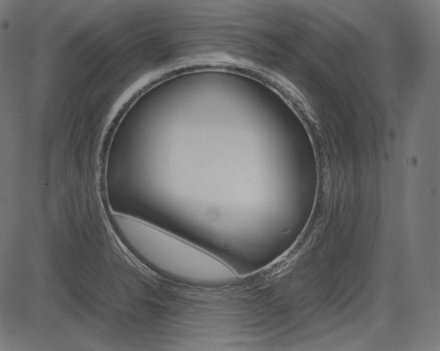 X0000085231326200703090847