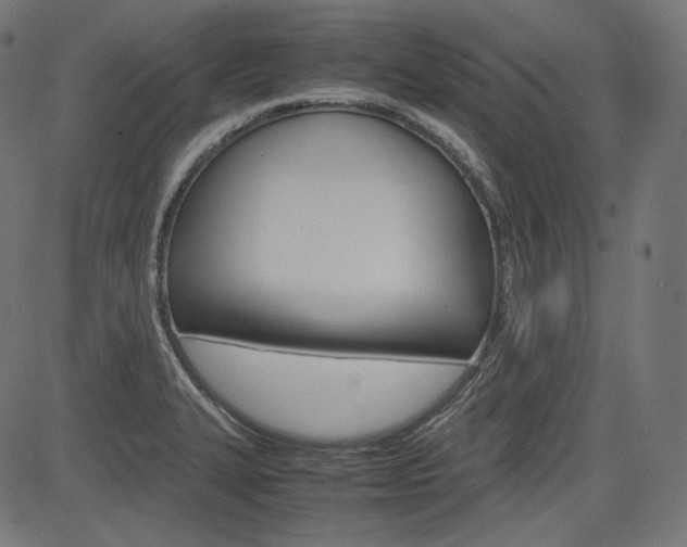 X0000085231327200703090847
