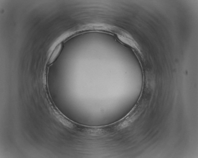 X0000085231328200703090847