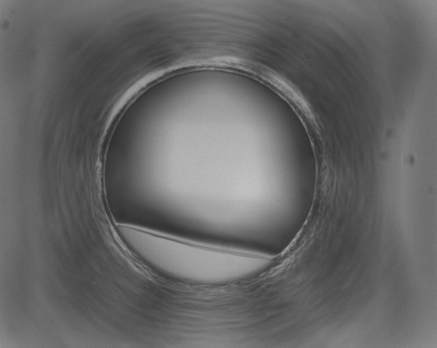X0000085231332200703090847