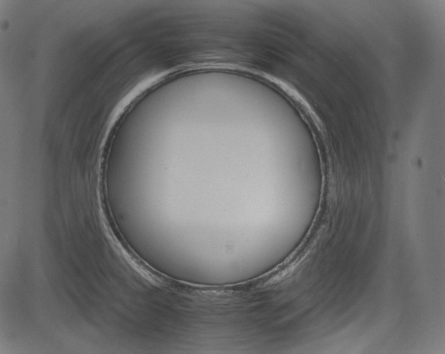 X0000085231333200703090847