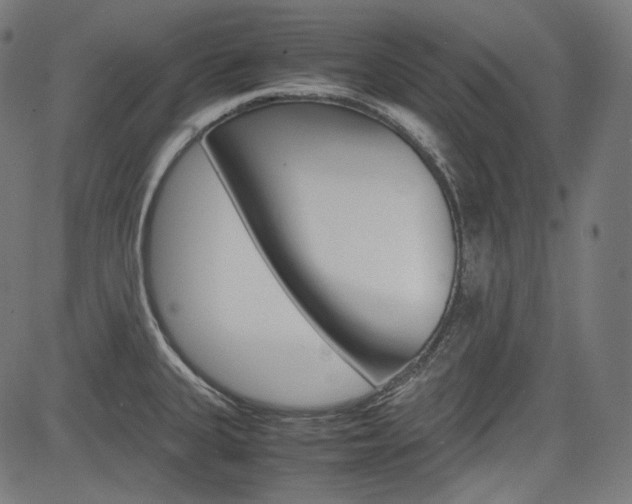 X0000085231335200703090847