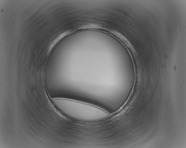 X0000085231337200703090847