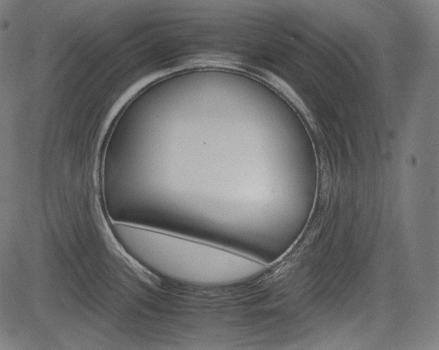 X0000085231339200703090847