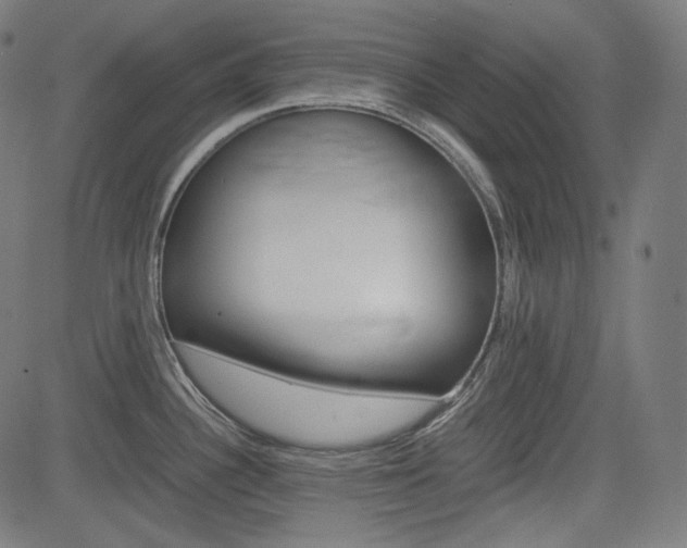 X0000085231340200703090847