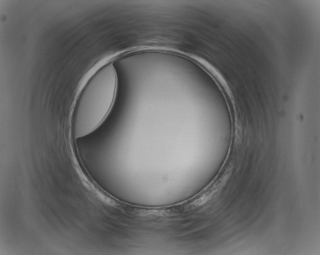 X0000085231341200703090847