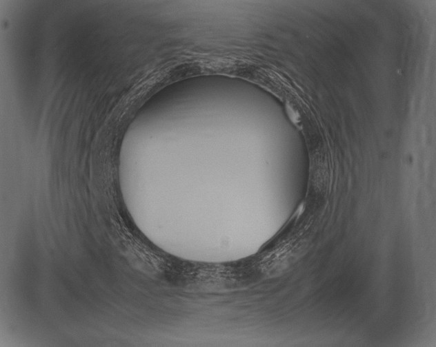 X0000085231345200703090846
