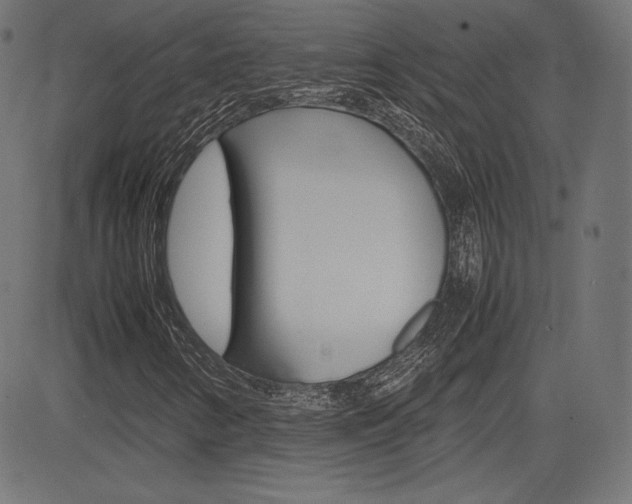 X0000085231346200703090846